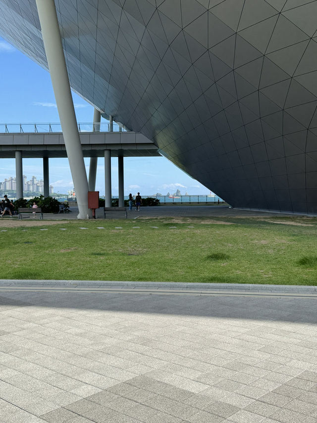 모던한 건축과 쾌적한 관람 환경 