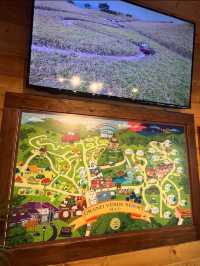 【日本豪華露營】湯布院至大分別府市之間，超級推薦住番晚！