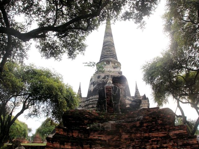 ไปเที่ยววัดพระศรีสรรเพชญ์