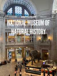 Meet the mammoth at Natural Museum