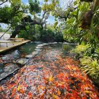 ป้าบุญ คาเฟ่ชลบุรี