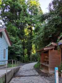 【白川水源:熊本県阿蘇群】透き通った美味しい湧き水を汲める場所✨
