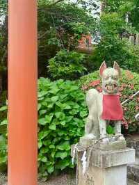 【浮羽稲荷神社】91基もの鳥居が連なる絶景スポット⛩️