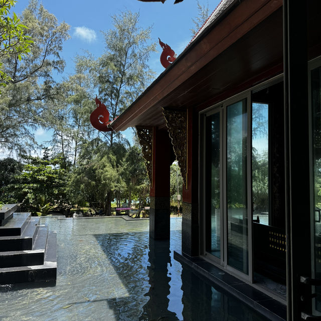 めーーっちゃ長いプール🌴🐘ゾウのお風呂🫧🛁