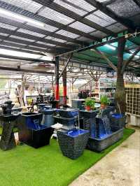 Transforming Spaces with AGRO Nursery’s Landscaping Service