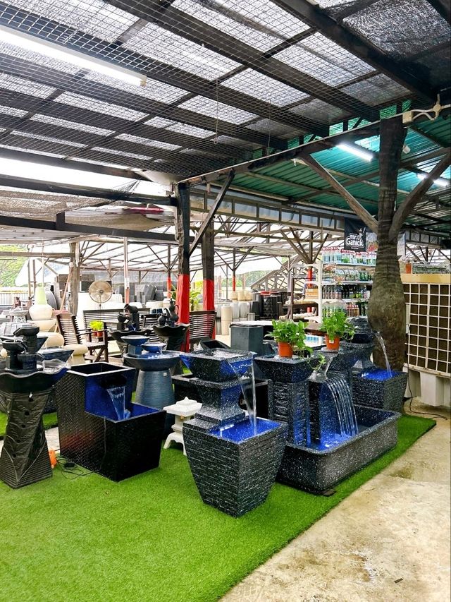 Transforming Spaces with AGRO Nursery’s Landscaping Service