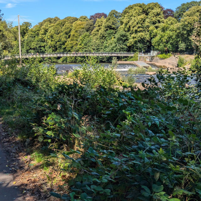 Cardiff’s Tranquil Green Heart