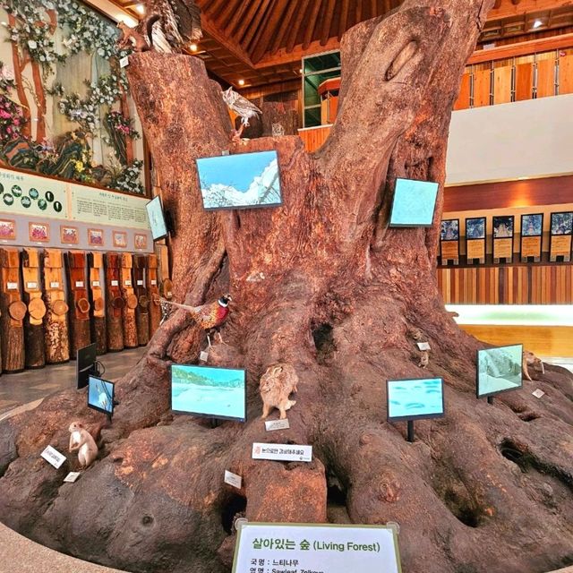 가을에 더이쁜 산림박물관