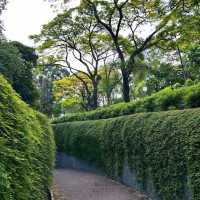 👍 Fort Canning Park