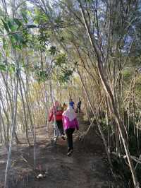 IOI Peak Starting Point