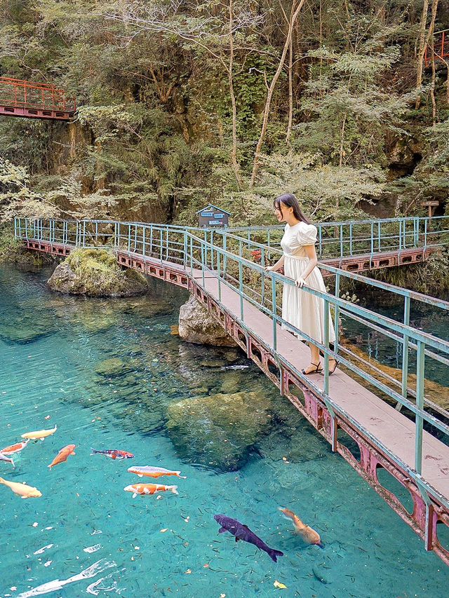 📍白龍湖