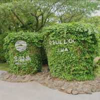 Osulloc Tea Museum