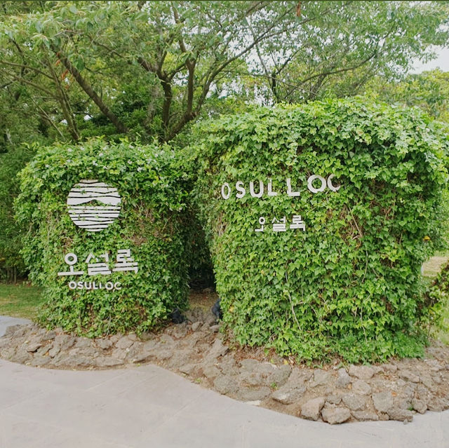 Osulloc Tea Museum