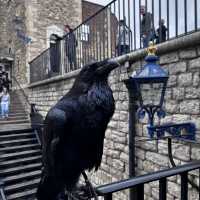 Tower of London