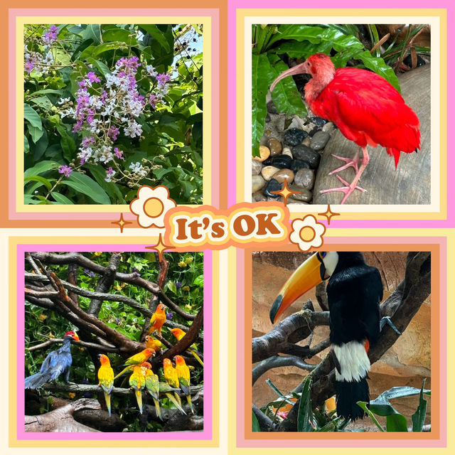 吉隆坡雀鳥公園：鳥類的天堂 🌈🐦