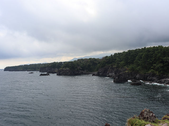 【静岡県】火山が生み出した造形美『城ヶ崎海岸』