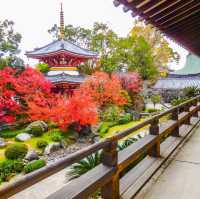 安樂寺