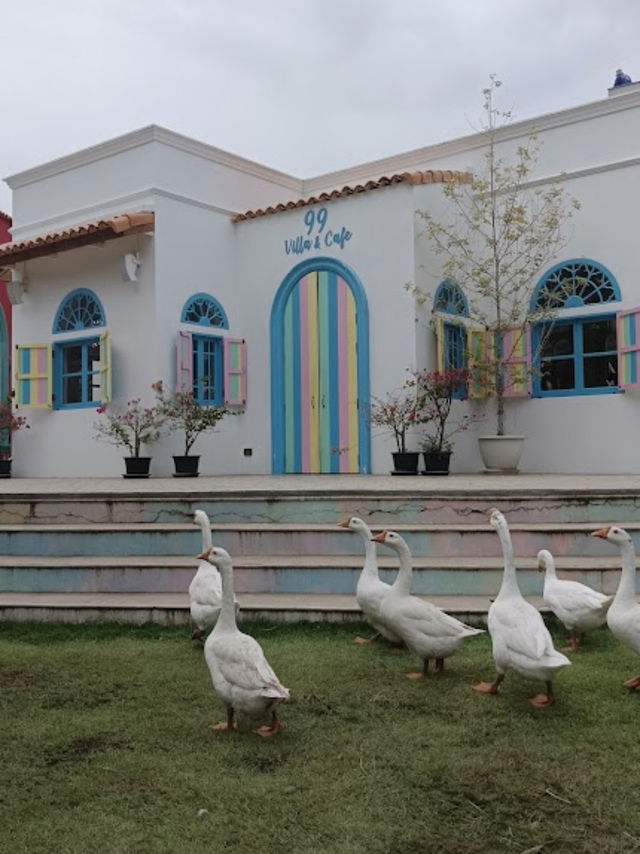 📍99 Villa & Cafe สวย สดใสเหมือนอยู่ในยุโรป