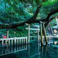 Ibaraki: Where Innovation Meets Natural Beauty
