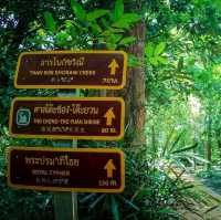 ทริปกระบี่
