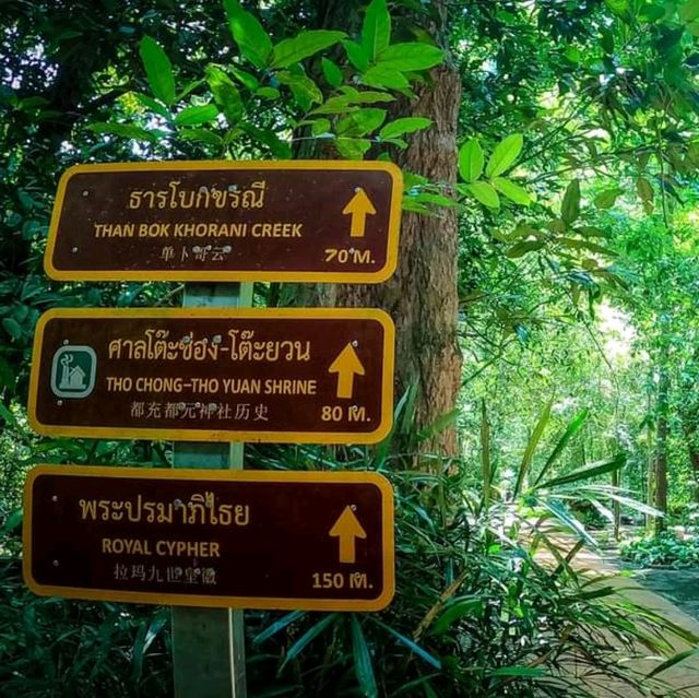 ทริปกระบี่