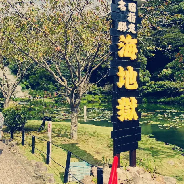Beppu Hell Hot Springs Tour