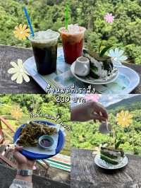 เที่ยวไร่ชาลุงเดชหน้าฝน🌱🌧️