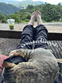 มาลำบาก คาเฟ่ ห้วยกุ๊บกั๊บ