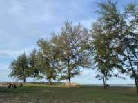 มาพักผ่อนที่หาดนราทัศน์ 