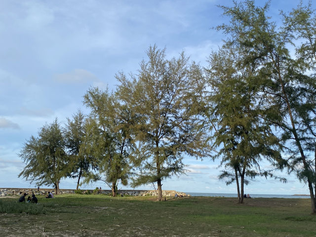 มาพักผ่อนที่หาดนราทัศน์ 