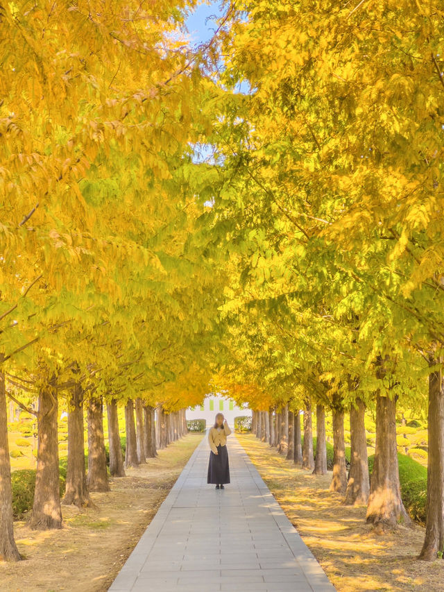 단풍 시즌 가야할 부산 단풍 명소 모음💛