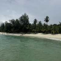 Arriving in paradise