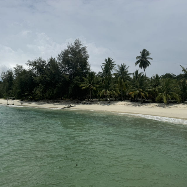 Arriving in paradise