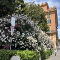Exploring the Eternal City: A Journey Through Ancient Rome