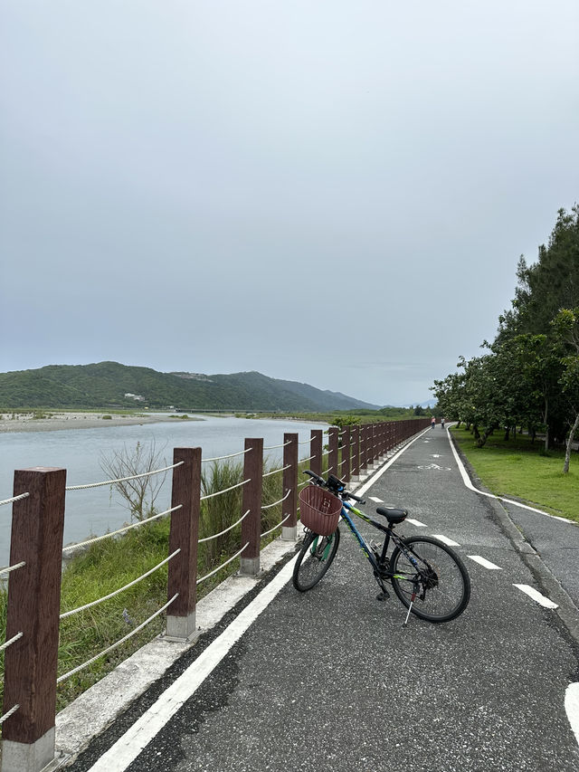 Cycling Solo in Hualien: A Journey through Nature and Night Markets