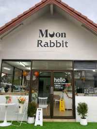Moon Rabbit 💫🌙
