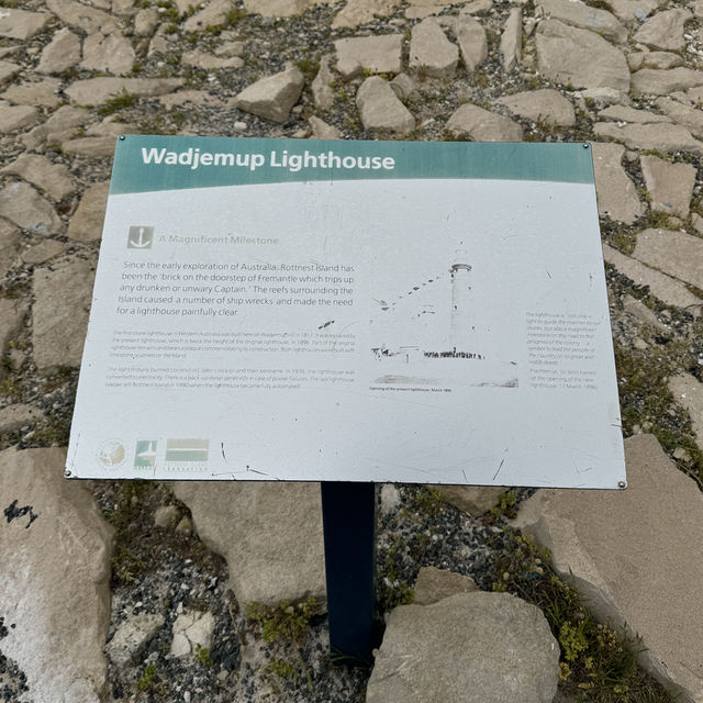 Wadjemup Lighthouse：羅特尼斯島的燈塔奇觀 🌅🏮