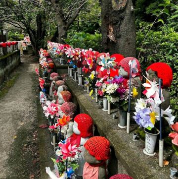 Zojoji Temple | Trip.com Tokyo