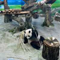 【台北動物園】 台北市立動物園😎