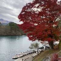 Goshikinuma Lake (โกชิกินุมะ)