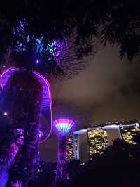 Gardens by the Bay: ชมแสงสียามค่ำคืน ✨️