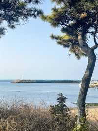 제주도 한적한 바다 ‘하모해수욕장’