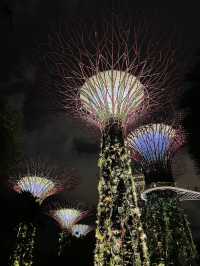 Garden by the bay 📍Singapore 