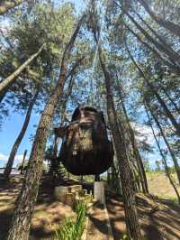 Glamping with Fantastic view of Toba Lake 
