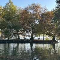 楚格湖畔的美麗公園
