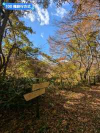 鳴子峽芬多精秘境，大深沢溪流森林步道