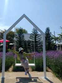 ชมทุ่งดอกไม้สวยที่ปลายนาฟลาวเวอร์