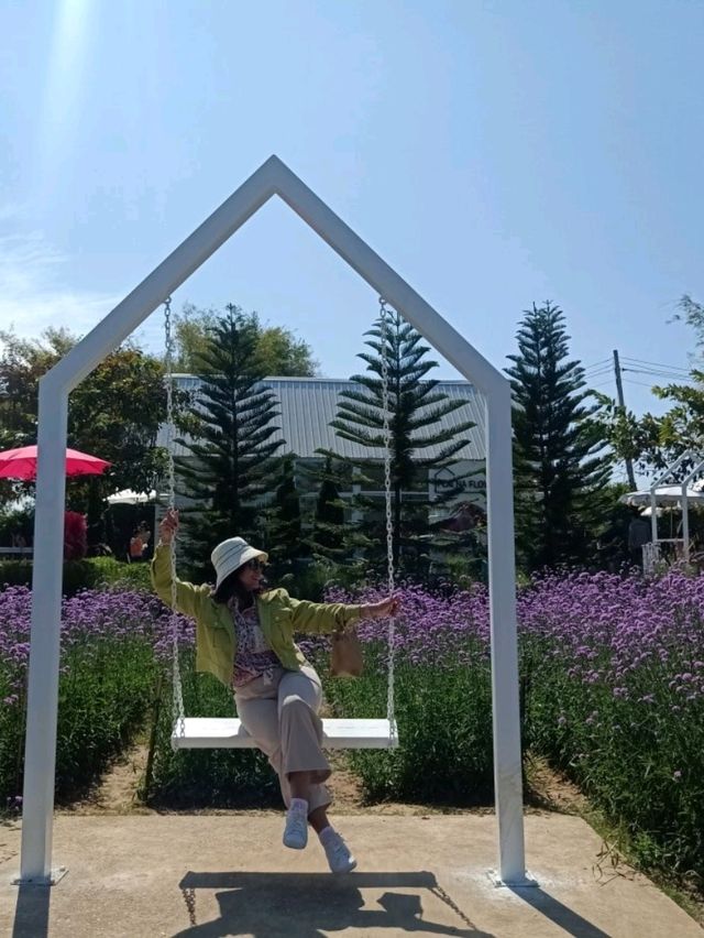 ชมทุ่งดอกไม้สวยที่ปลายนาฟลาวเวอร์