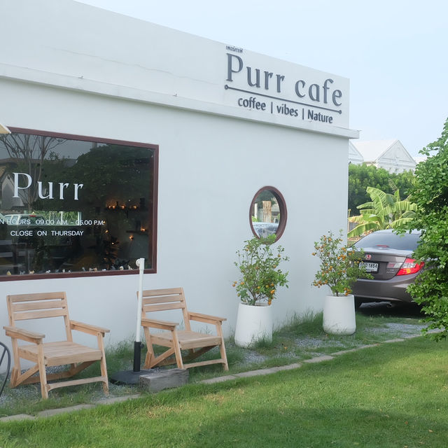 Purr.Bkk 🥤✨