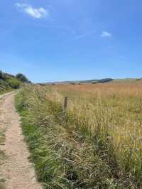Seven Sisters White Cliffs 